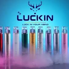 DM_20260331155530_001