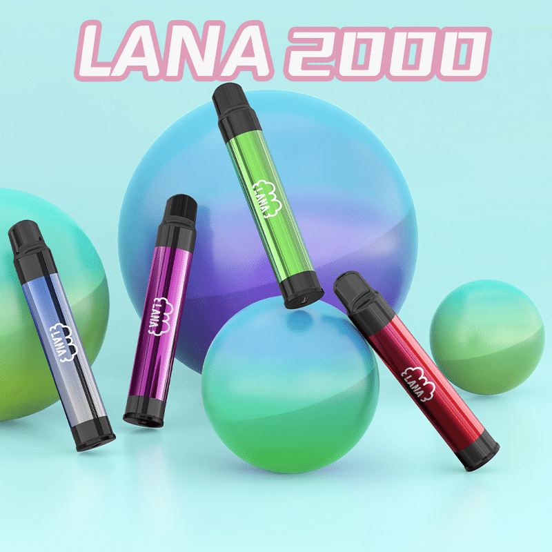 DM_20260402170249_001