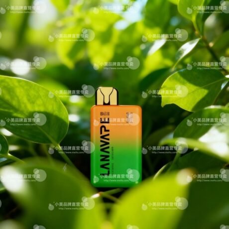 LANA Bar BC 6000口 拋棄式電子煙