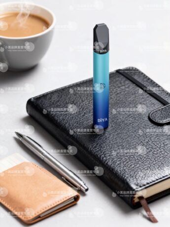 DIY叮啞主機 (原裝正品一代霧化桿)