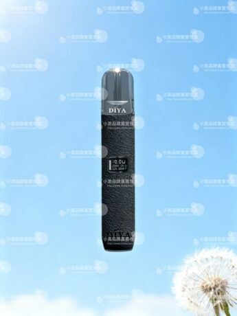 DIYA 叮啞一代主機